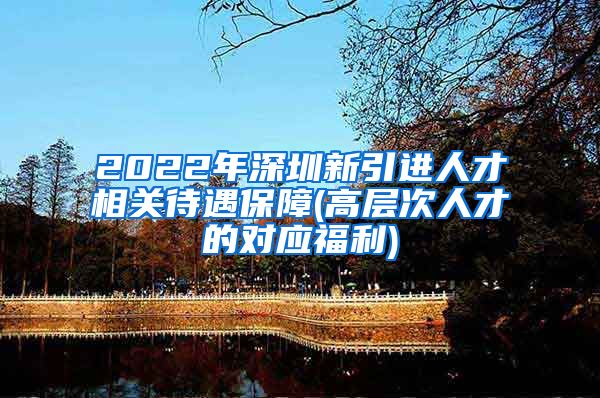 2022年深圳新引进人才相关待遇保障(高层次人才的对应福利)