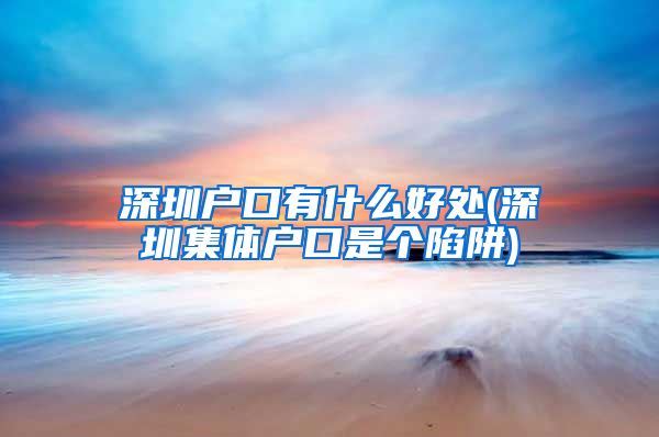 深圳户口有什么好处(深圳集体户口是个陷阱)