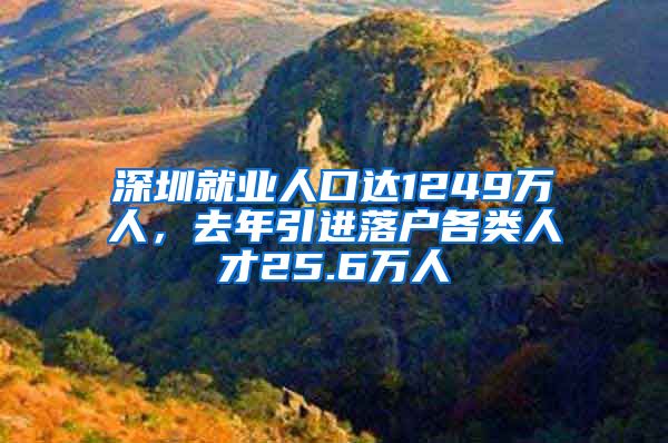 深圳就业人口达1249万人，去年引进落户各类人才25.6万人