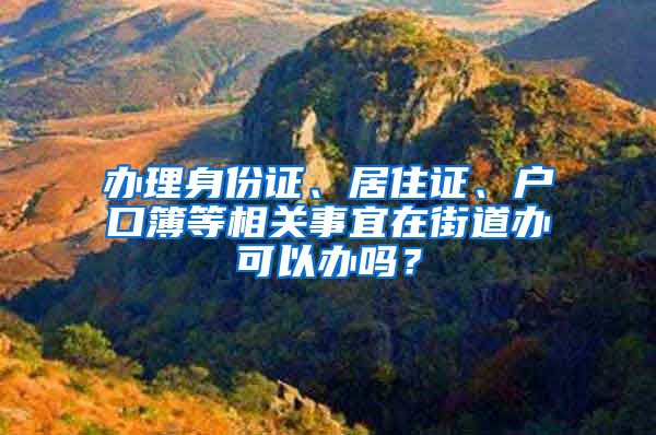 办理身份证、居住证、户口簿等相关事宜在街道办可以办吗？