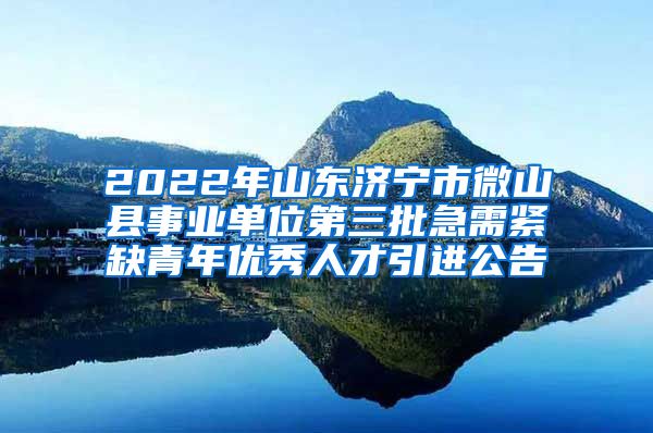 2022年山东济宁市微山县事业单位第三批急需紧缺青年优秀人才引进公告