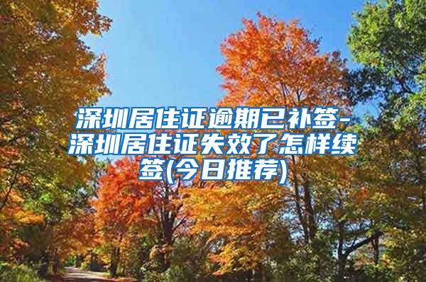 深圳居住证逾期已补签-深圳居住证失效了怎样续签(今日推荐)