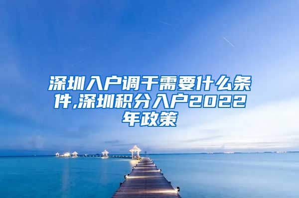 深圳入户调干需要什么条件,深圳积分入户2022年政策