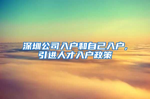 深圳公司入户和自己入户,引进人才入户政策