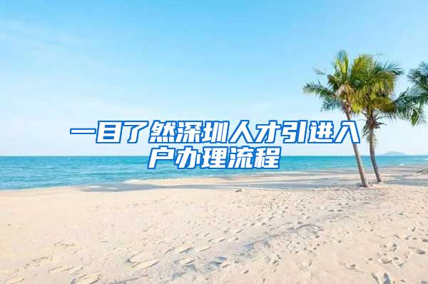 一目了然深圳人才引进入户办理流程