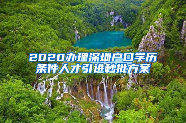 2020办理深圳户口学历条件人才引进秒批方案