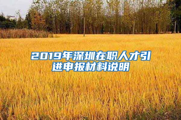 2019年深圳在职人才引进申报材料说明