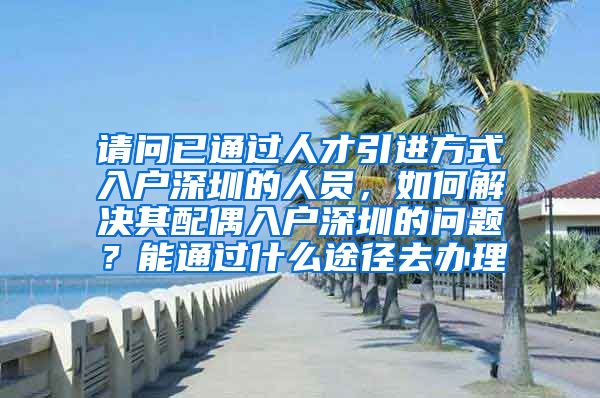 请问已通过人才引进方式入户深圳的人员，如何解决其配偶入户深圳的问题？能通过什么途径去办理