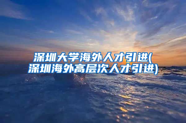 深圳大学海外人才引进(深圳海外高层次人才引进)