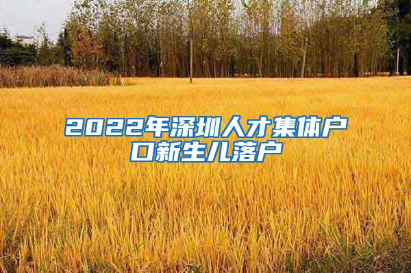 2022年深圳人才集体户口新生儿落户