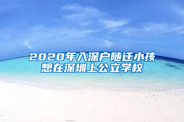 2020年入深户随迁小孩想在深圳上公立学校