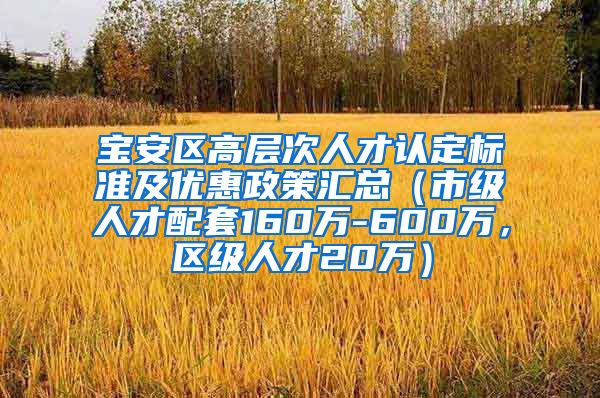 宝安区高层次人才认定标准及优惠政策汇总（市级人才配套160万-600万，区级人才20万）