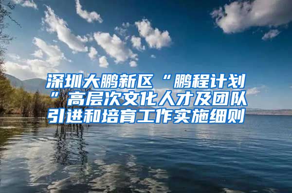 深圳大鹏新区“鹏程计划”高层次文化人才及团队引进和培育工作实施细则