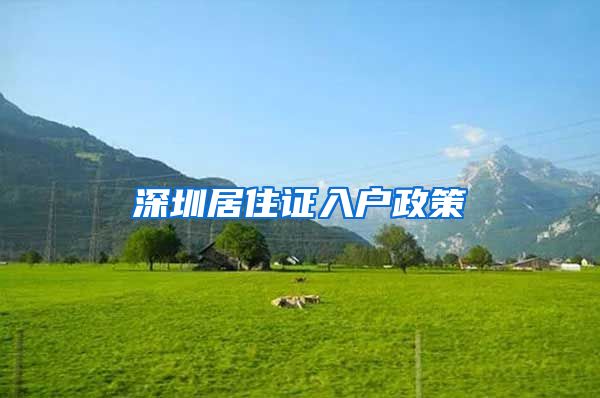 深圳居住证入户政策