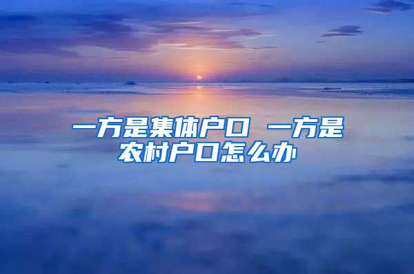 一方是集体户口 一方是农村户口怎么办