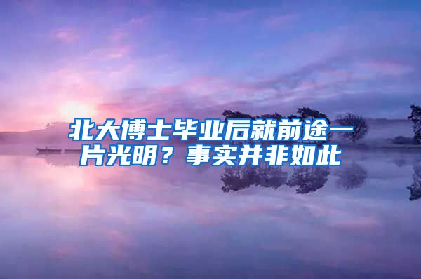 北大博士毕业后就前途一片光明？事实并非如此