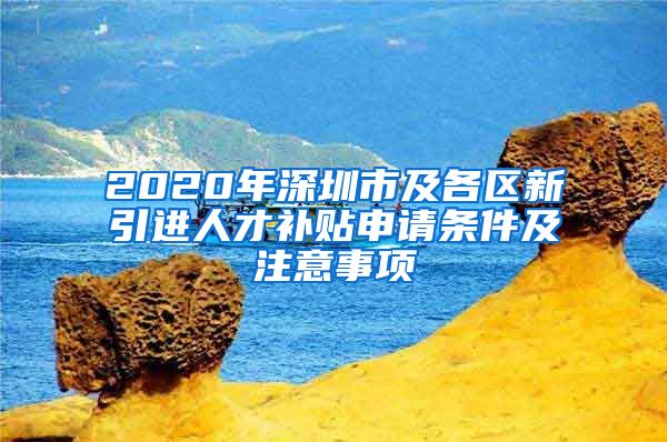 2020年深圳市及各区新引进人才补贴申请条件及注意事项