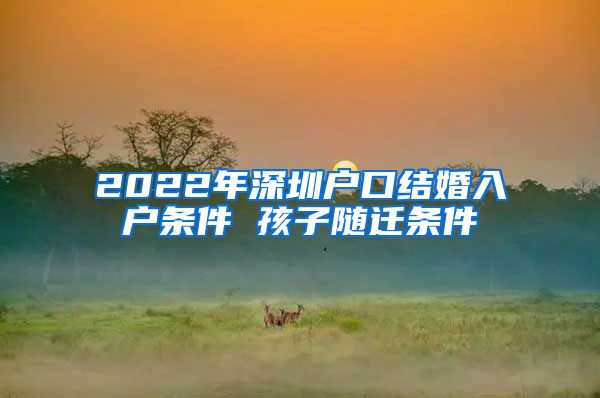 2022年深圳户口结婚入户条件 孩子随迁条件