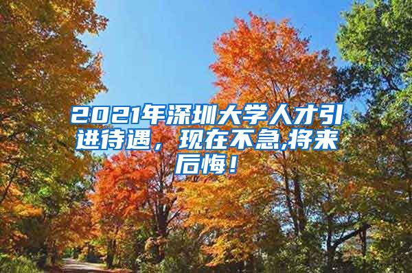 2021年深圳大学人才引进待遇，现在不急,将来后悔！