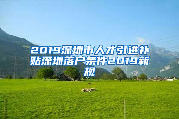 2019深圳市人才引进补贴深圳落户条件2019新规