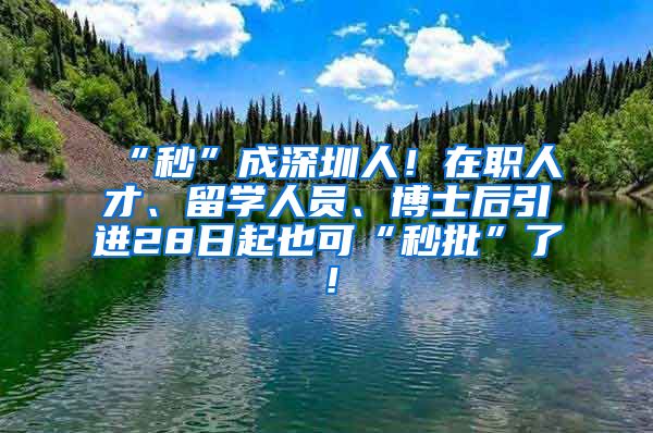 “秒”成深圳人！在职人才、留学人员、博士后引进28日起也可“秒批”了！