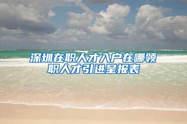 深圳在职人才入户在哪领职人才引进呈报表