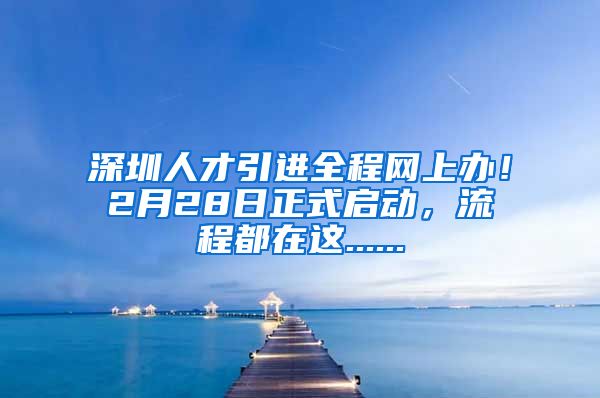 深圳人才引进全程网上办！2月28日正式启动，流程都在这......