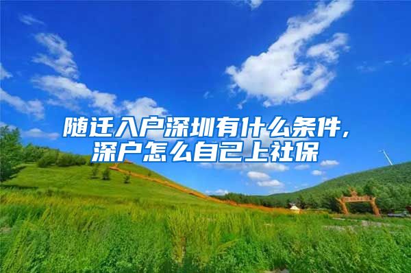 随迁入户深圳有什么条件,深户怎么自己上社保