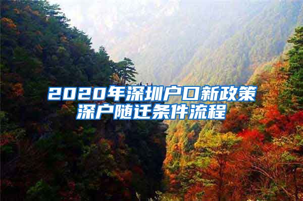 2020年深圳户口新政策深户随迁条件流程