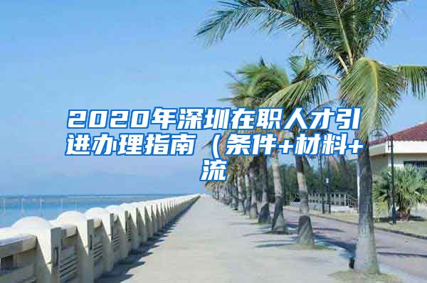 2020年深圳在职人才引进办理指南（条件+材料+流