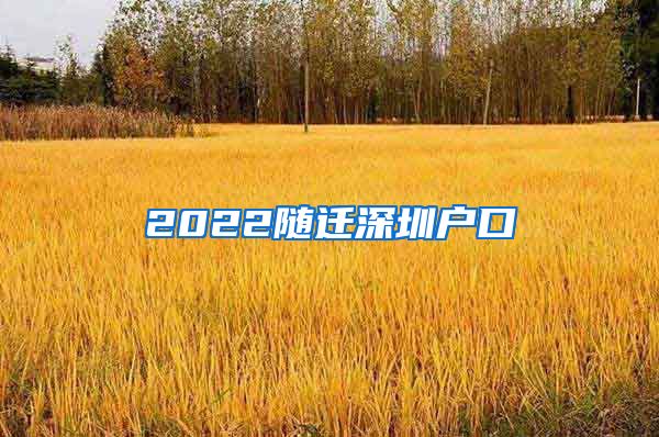 2022随迁深圳户口