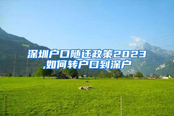 深圳户口随迁政策2023,如何转户口到深户