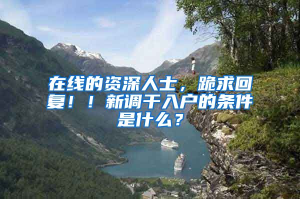 在线的资深人士，跪求回复！！新调干入户的条件是什么？