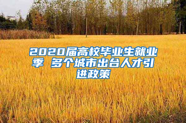 2020届高校毕业生就业季 多个城市出台人才引进政策