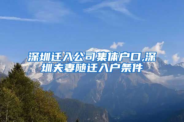 深圳迁入公司集体户口,深圳夫妻随迁入户条件