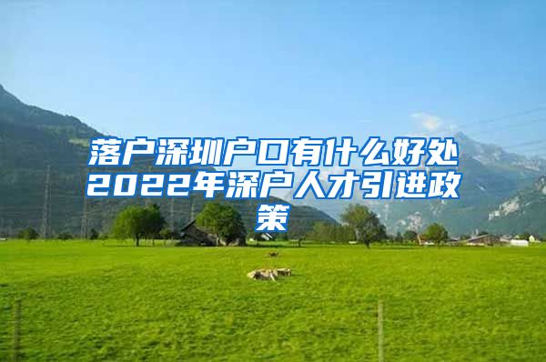 落户深圳户口有什么好处2022年深户人才引进政策