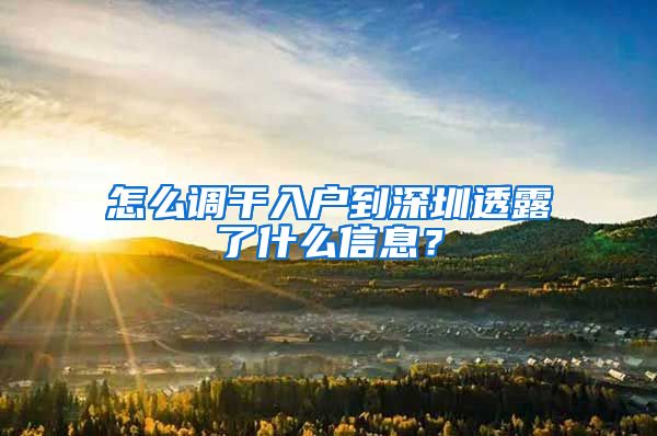 怎么调干入户到深圳透露了什么信息？