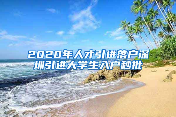 2020年人才引进落户深圳引进大学生入户秒批