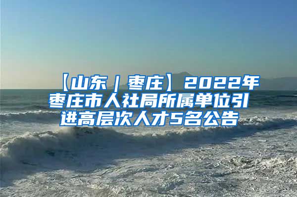 【山东｜枣庄】2022年枣庄市人社局所属单位引进高层次人才5名公告