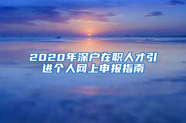 2020年深户在职人才引进个人网上申报指南