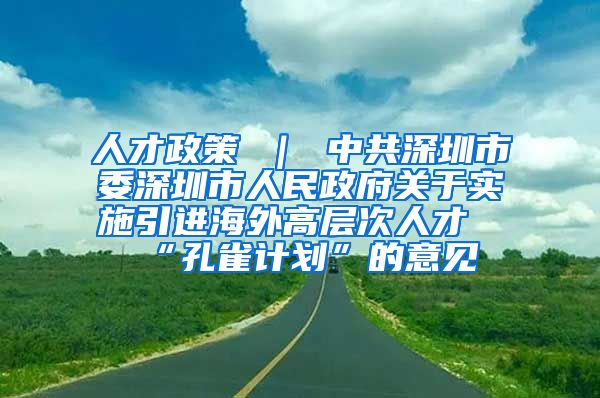 人才政策 ｜ 中共深圳市委深圳市人民政府关于实施引进海外高层次人才“孔雀计划”的意见