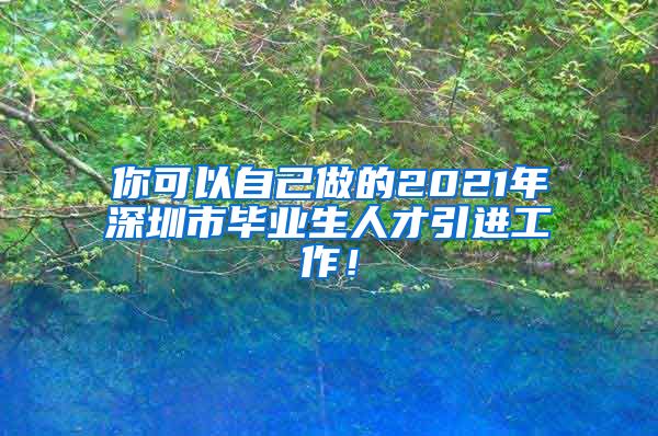 你可以自己做的2021年深圳市毕业生人才引进工作！