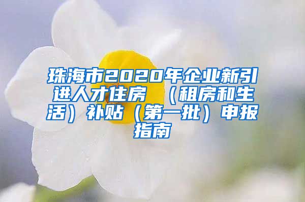 珠海市2020年企业新引进人才住房 （租房和生活）补贴（第一批）申报指南