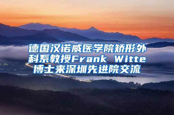 德国汉诺威医学院矫形外科系教授Frank Witte博士来深圳先进院交流