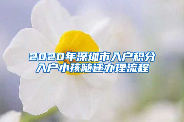 2020年深圳市入户积分入户小孩随迁办理流程