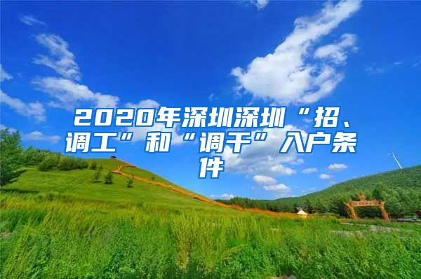 2020年深圳深圳“招、调工”和“调干”入户条件