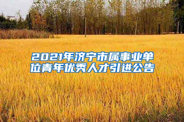 2021年济宁市属事业单位青年优秀人才引进公告