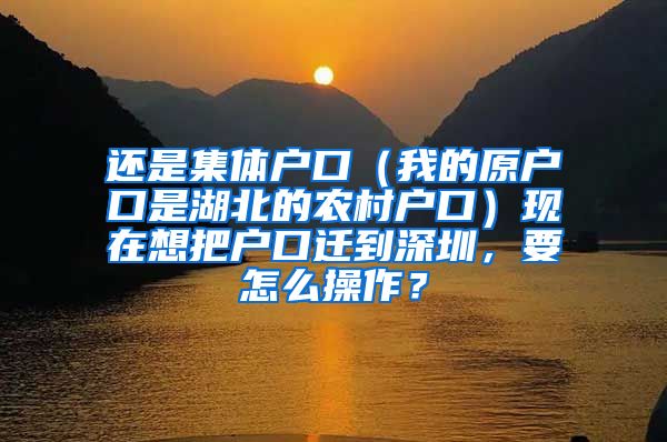 还是集体户口（我的原户口是湖北的农村户口）现在想把户口迁到深圳，要怎么操作？