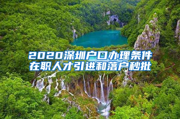 2020深圳户口办理条件在职人才引进和落户秒批