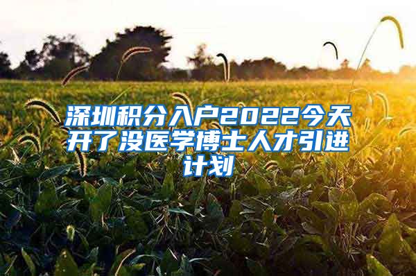 深圳积分入户2022今天开了没医学博士人才引进计划